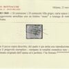 Stato Pontificio 1868 20 c. lilla grigio carta opaca usato n.28c rarità certificata