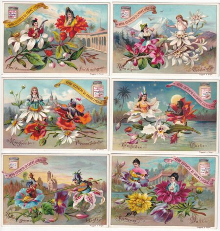 LIEBIG ITA S 520 – Fiori con figure nei petali – Ottime condizioni