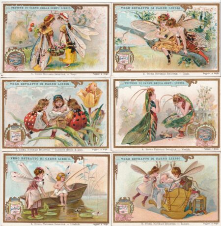 LIEBIG ITA S 576 – Storia naturale infantile – Ottime condizioni