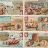 LIEBIG ITA S 716 – I tesori del mare- ottime condizioni