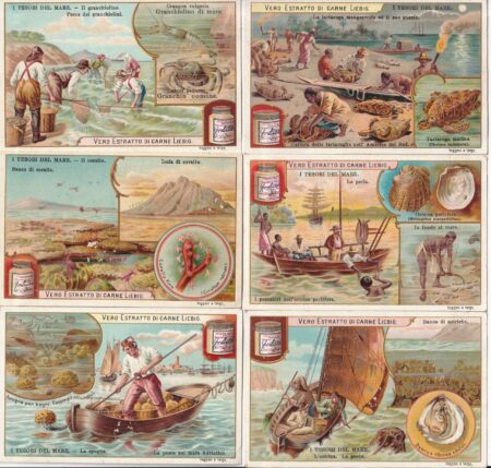 LIEBIG ITA S 716 – I tesori del mare- ottime condizioni