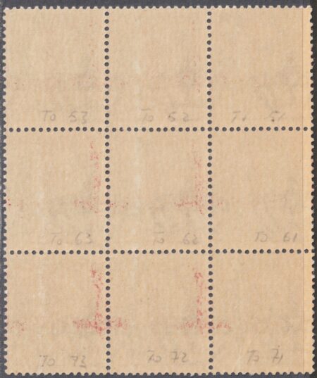 Soprastampa Fascio di Torino 30 c. bruno Blocco di 9 con 4 Decalchi a cavallo plattato integro raro – Sassone n.492 TO